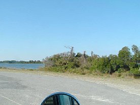 ft2006118.jpg