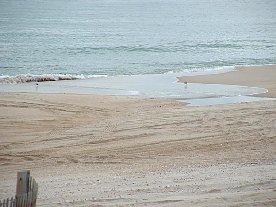 ft2006159.jpg
