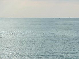 ft2006160.jpg
