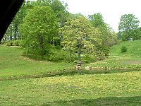 scf0014.jpg