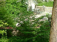 scf0037.jpg
