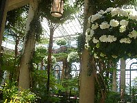 scf0062.jpg