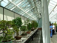 scf0068.jpg