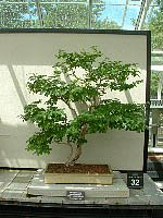 scf0070.jpg