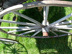 carl0407x13.jpg