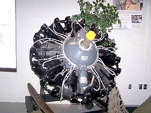 sm07x3353.jpg
