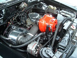 york07bb.jpg