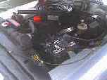 dsc00030.jpg