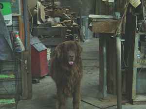 reed08x1237.jpg