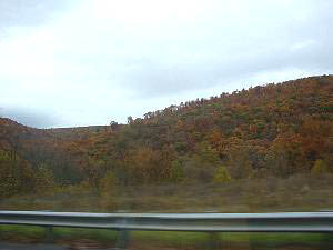 dsc05521.jpg