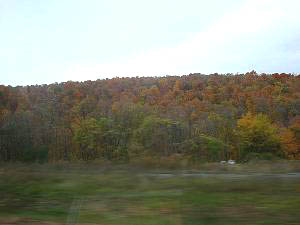 dsc05524.jpg