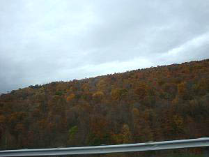 dsc05527.jpg