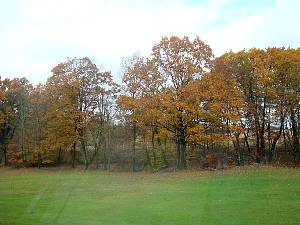 dsc05585.jpg