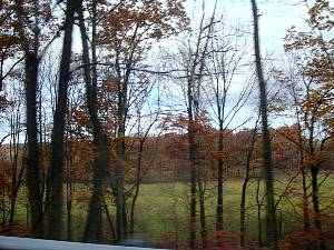 dsc05588.jpg