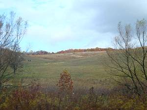 dsc05593.jpg