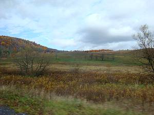 dsc05594.jpg