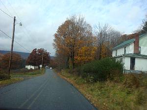 dsc05597.jpg