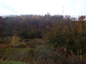 dsc05623.jpg