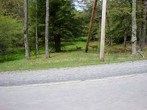 psdcstx2818.jpg