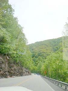 psdcstx2831.jpg