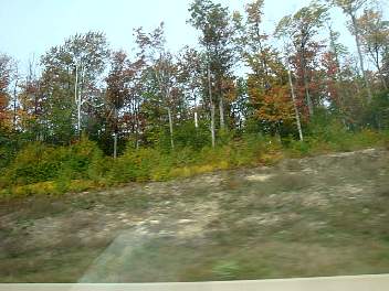 DSC08528.jpg
