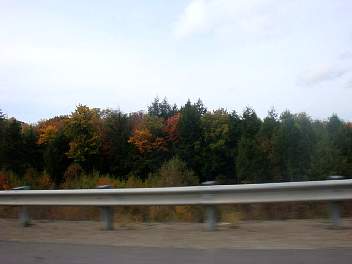 DSC08532.jpg