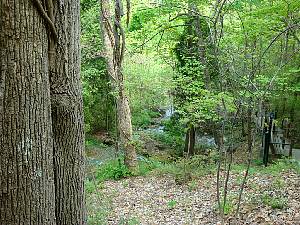 psdc0410x6909.jpg