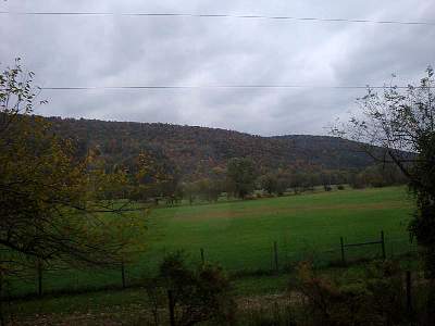 DSC06033MM.jpg