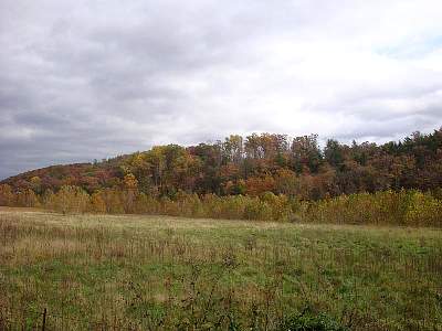 DSC06042MM.jpg