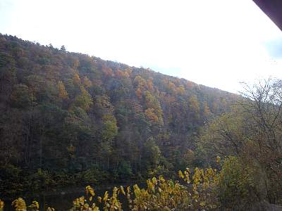 DSC06050MM.jpg
