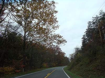 DSC06144MM.jpg