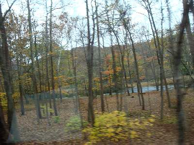 DSC06152MM.jpg
