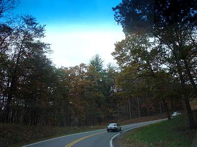 DSC06154MM.jpg
