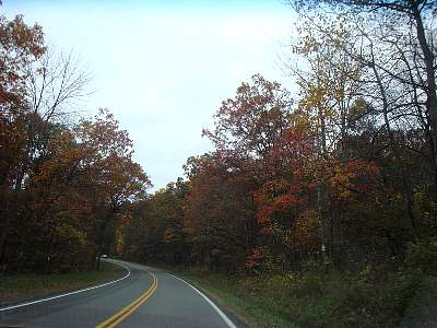 DSC06159MM.jpg