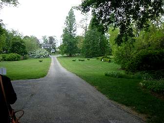 DSC09616.jpg