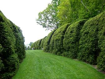 DSC09644.jpg