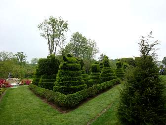 DSC09645.jpg