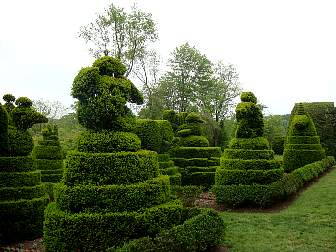 DSC09646.jpg