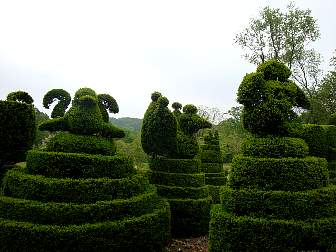 DSC09647.jpg