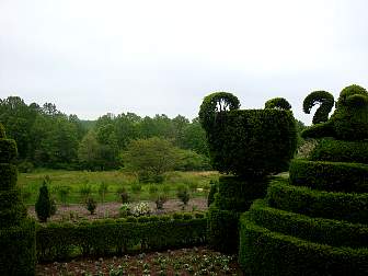 DSC09648.jpg