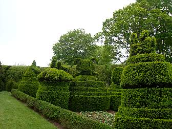 DSC09650.jpg