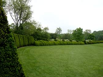 DSC09653.jpg