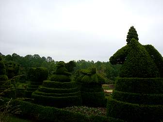 DSC09656.jpg