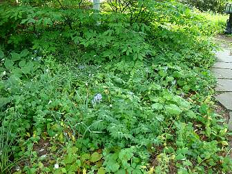 DSC09664.jpg