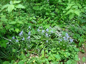 DSC09665.jpg