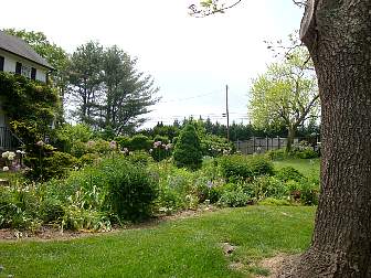 DSC09666.jpg