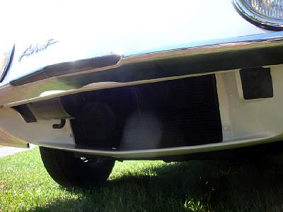 DSC07769m.jpg