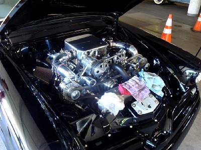 DSC07875m.jpg
