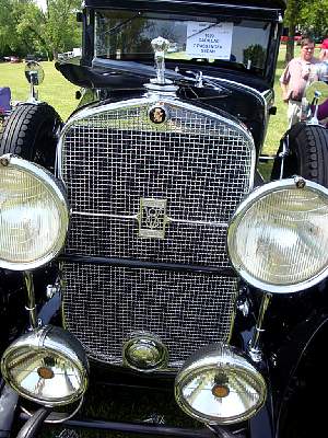 DSC07499m.jpg