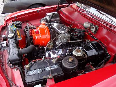 DSC06977MM.jpg
